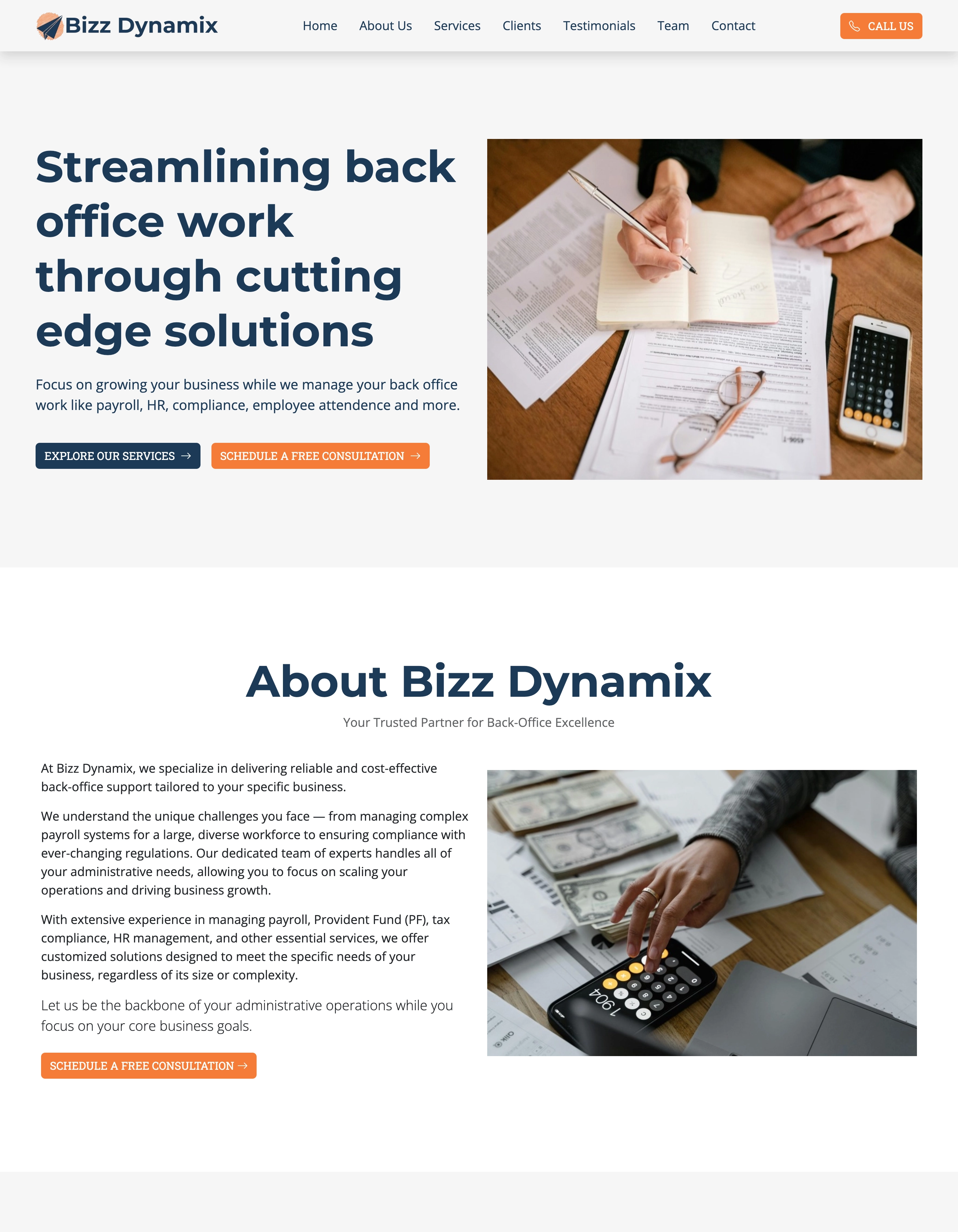 BizzDynamix